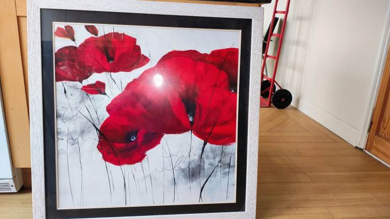 Poppy print and poppy canvas 