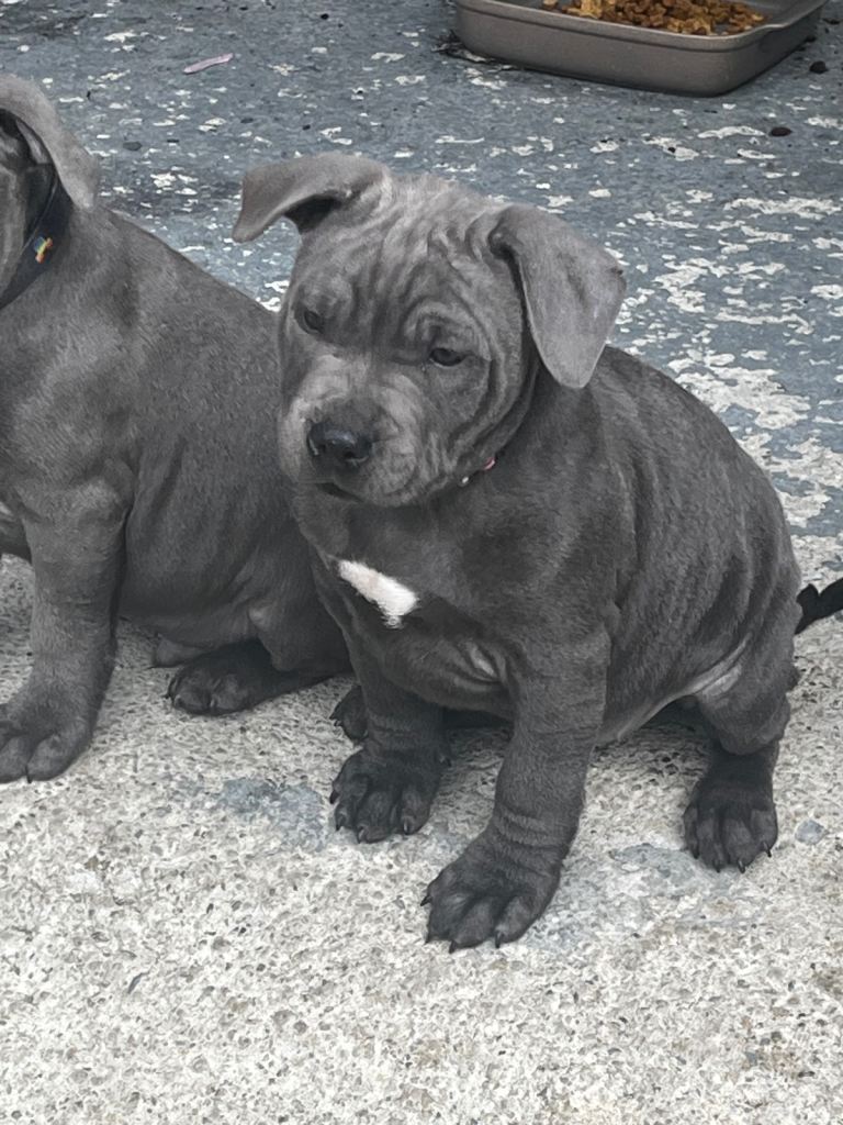  1 males left staff