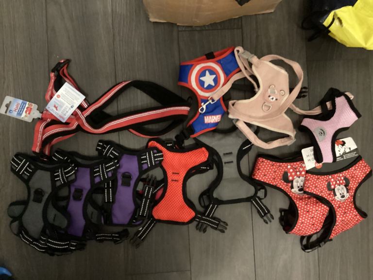 Bundle dog harnesses 