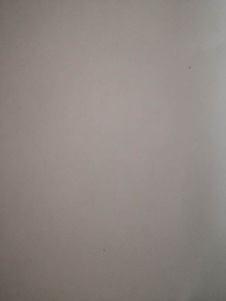 Dacia sandero stepway tyre and wheel