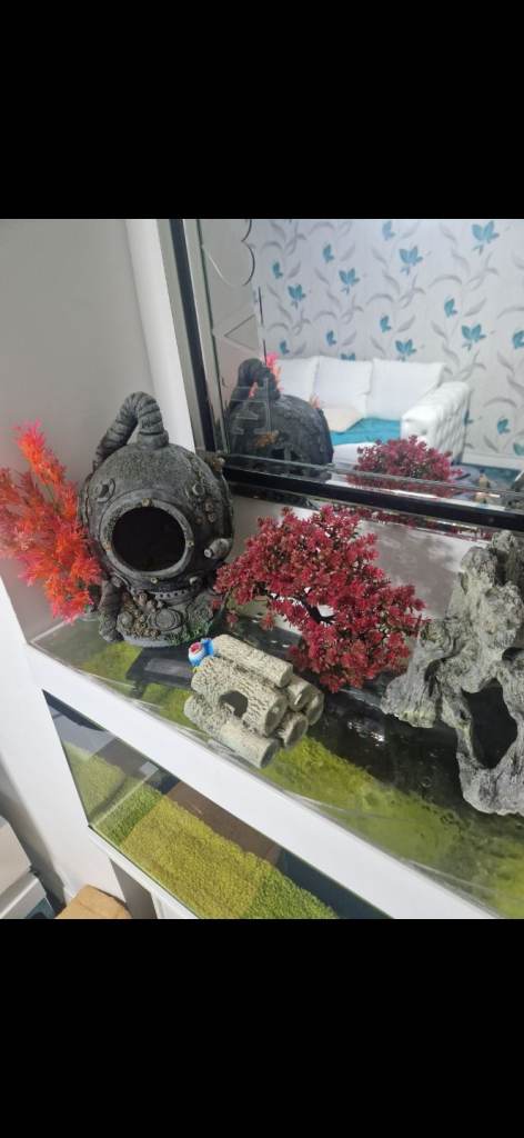 Fish tank ornaments 