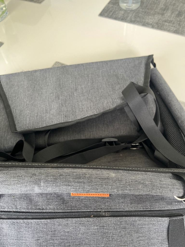 Pet car seat/carrier