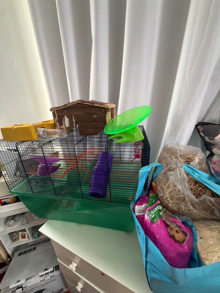 Large Hamster Cage Bundle with Accessories, Food, Bedding, Hay, Wheel & House