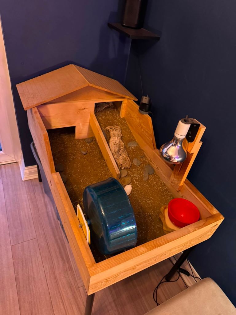 Tortoise Table - Bespoke and complete Set Up Available 