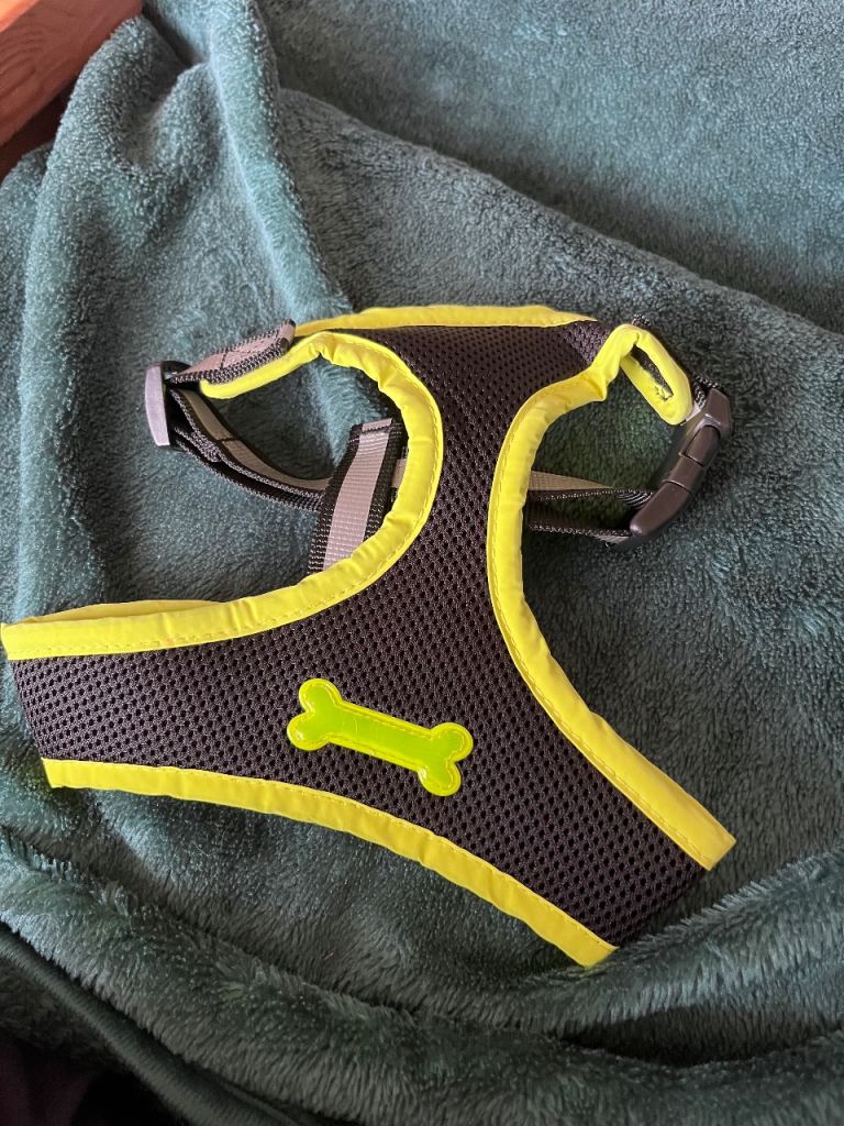 One small and medium dog harness 