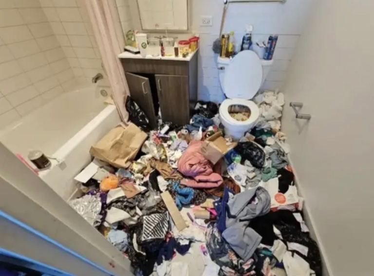 Removal and clean up   