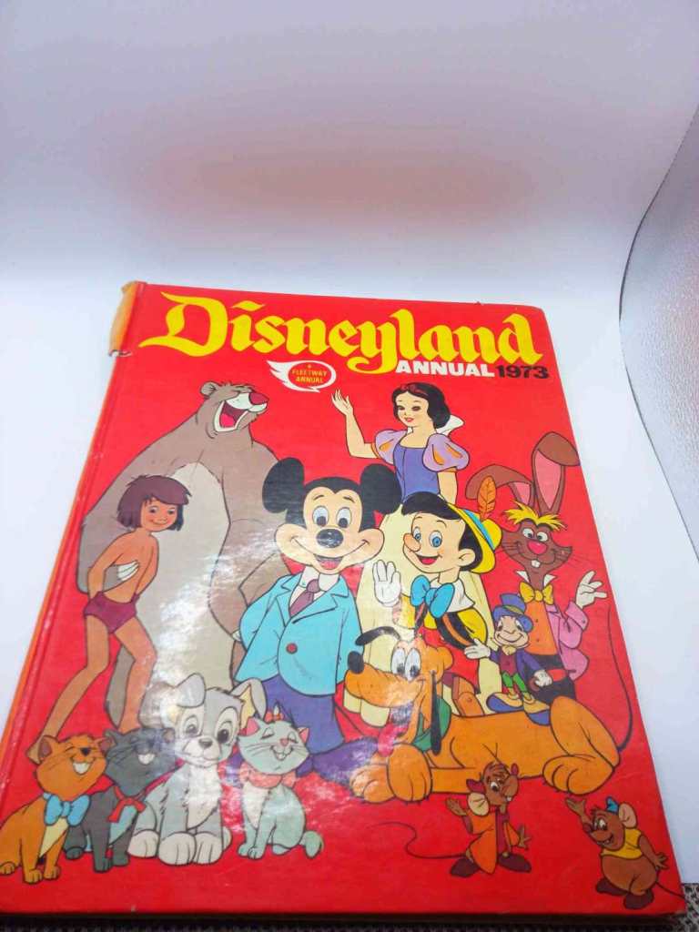 Vintage 1973 Disneyland Annual - Fleetway IPC Media - Rare Retro Disney Decor