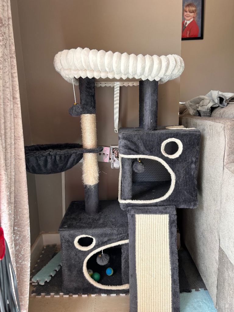 Cat scratching posts
