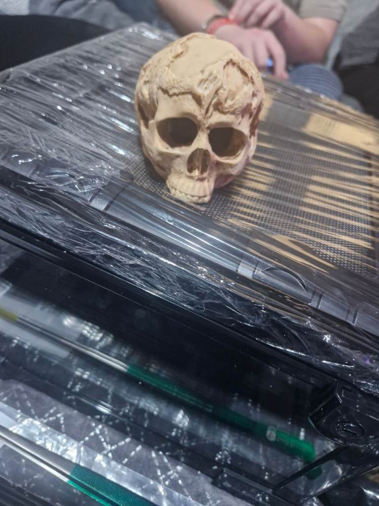 Flat packet glass terrarium