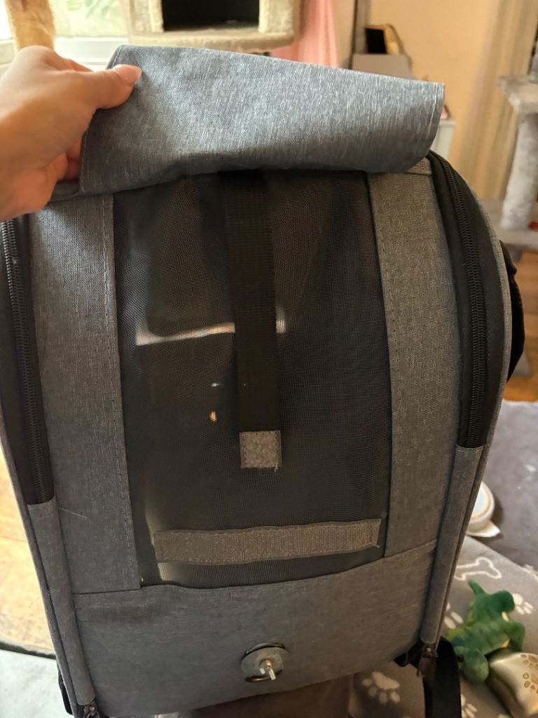 bird carrier 