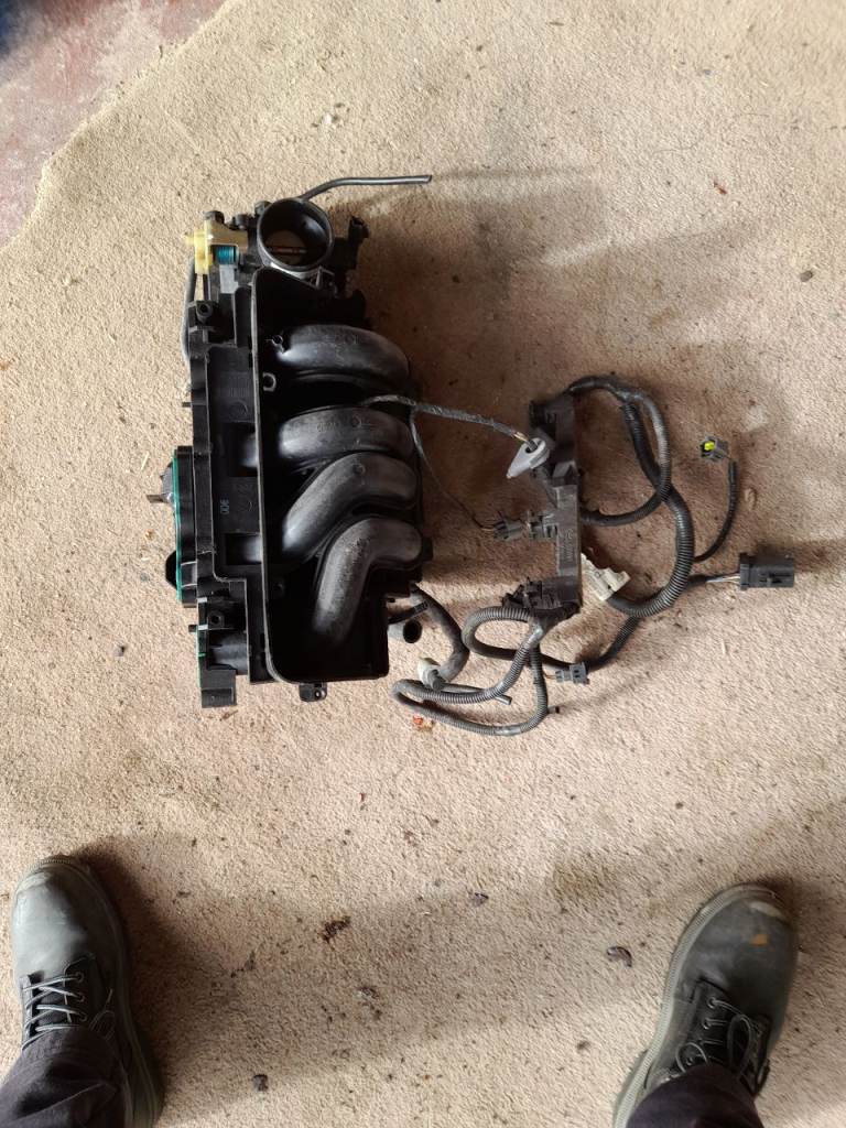 Ford induction manifold 