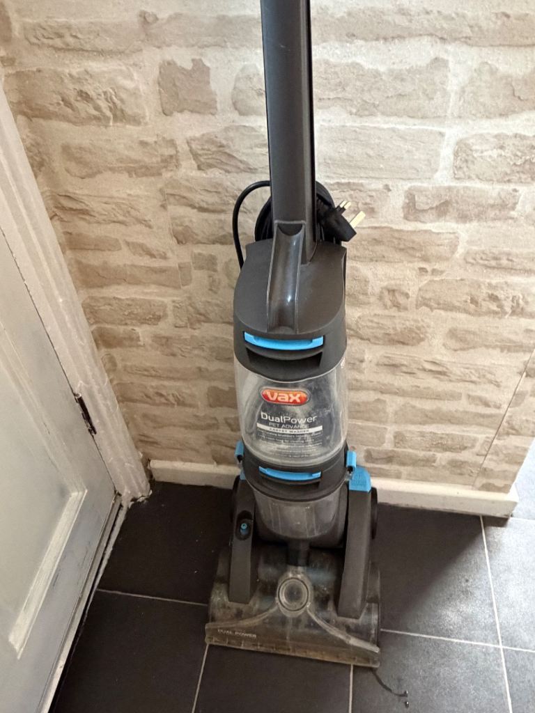 Pet carpet cleaner 