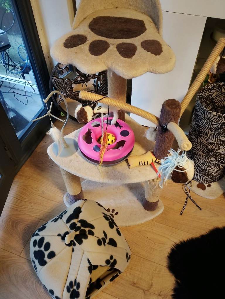Cat scratching post with accessories and toys. 