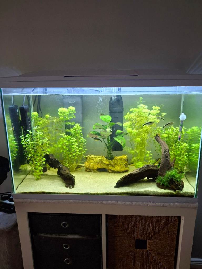 Fully equipped Aquarium for sale