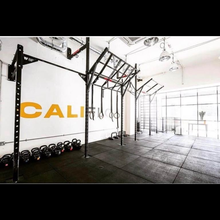 Callisthenics cross fit gym rig