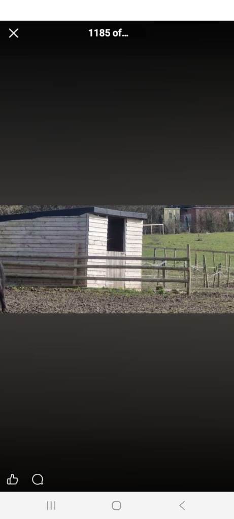 Wooden horse stable