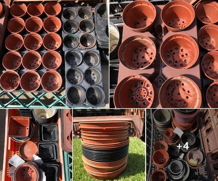 Selection of plant pots and holders x 50