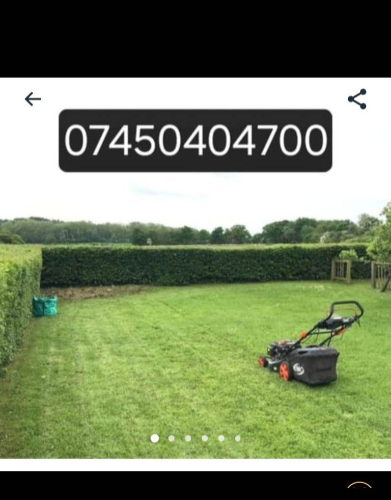 Gardening Services in London and Essex/Gardening maintenance lawn mowing cutting
