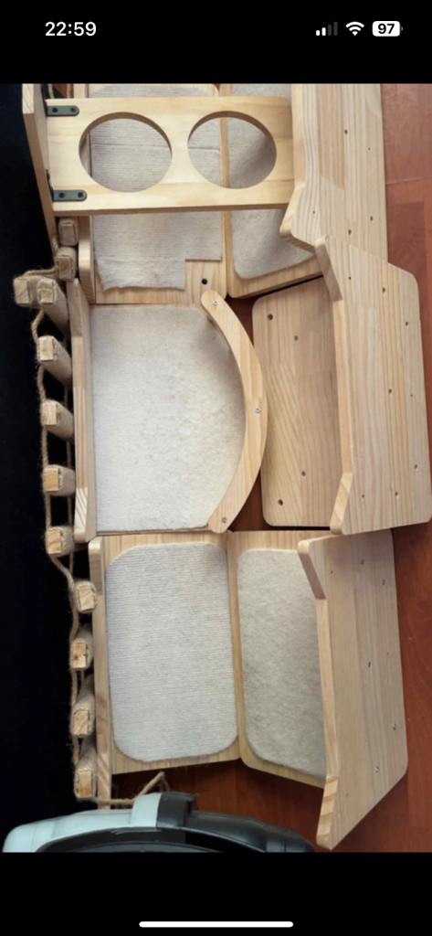 Cat accessories and cat carrier 