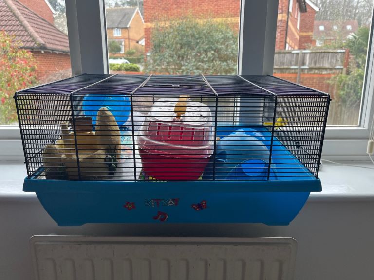 Hamster Cage & Goodies
