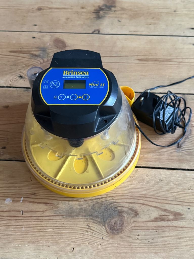 Brinsea mini auto turning 