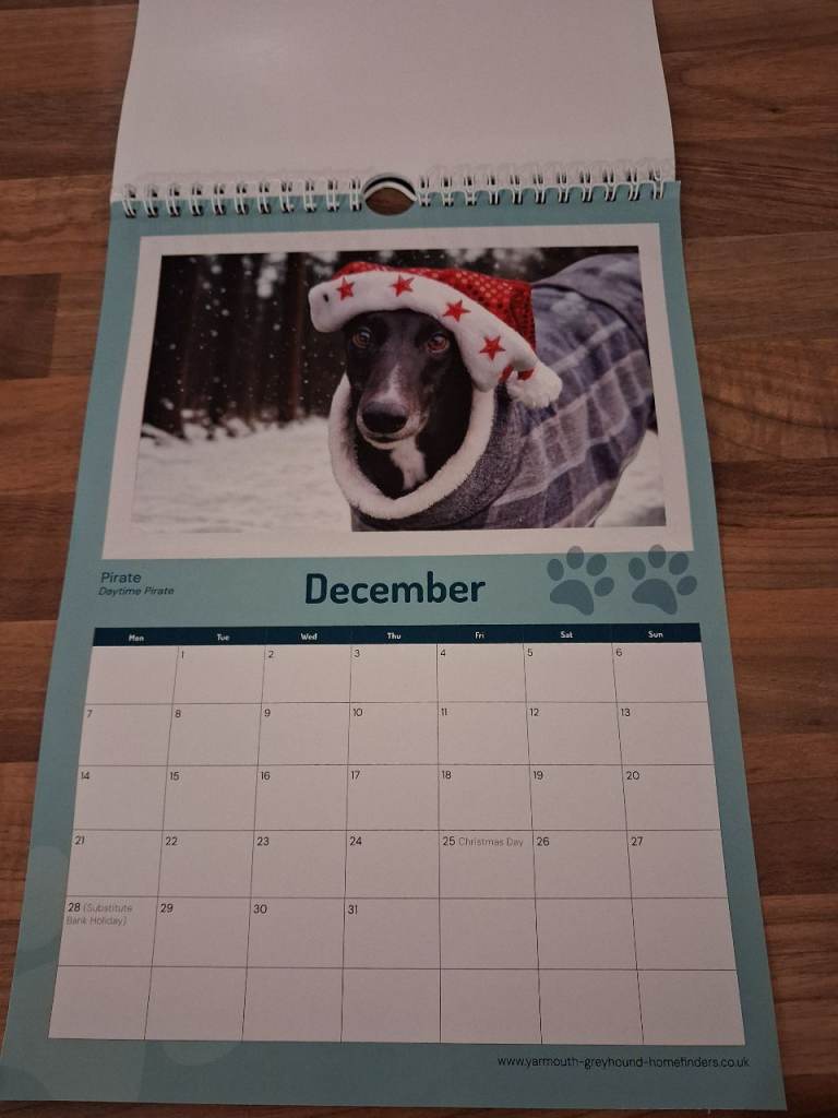 2026 greyhound Charity Calendars A4 