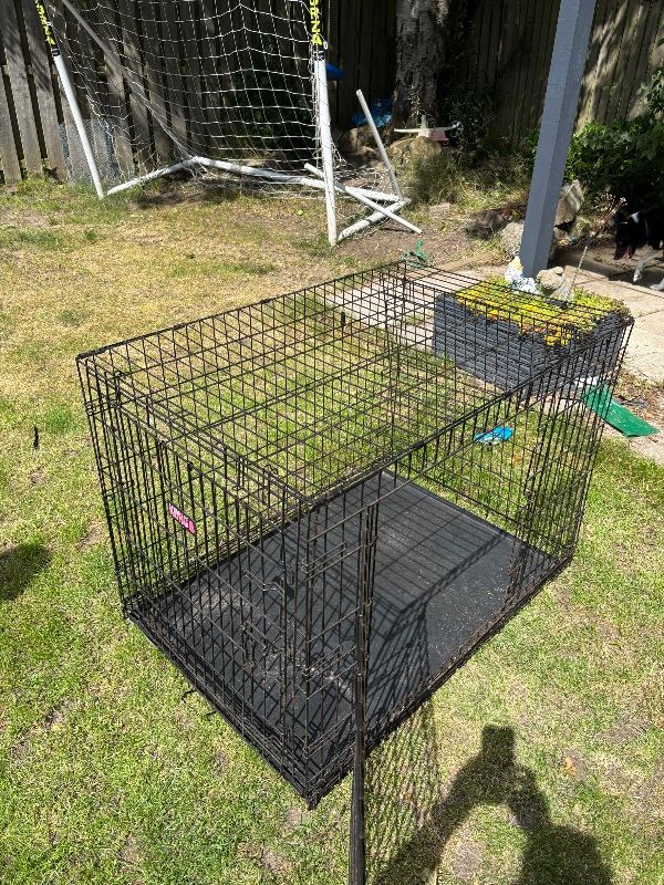 Kong crate