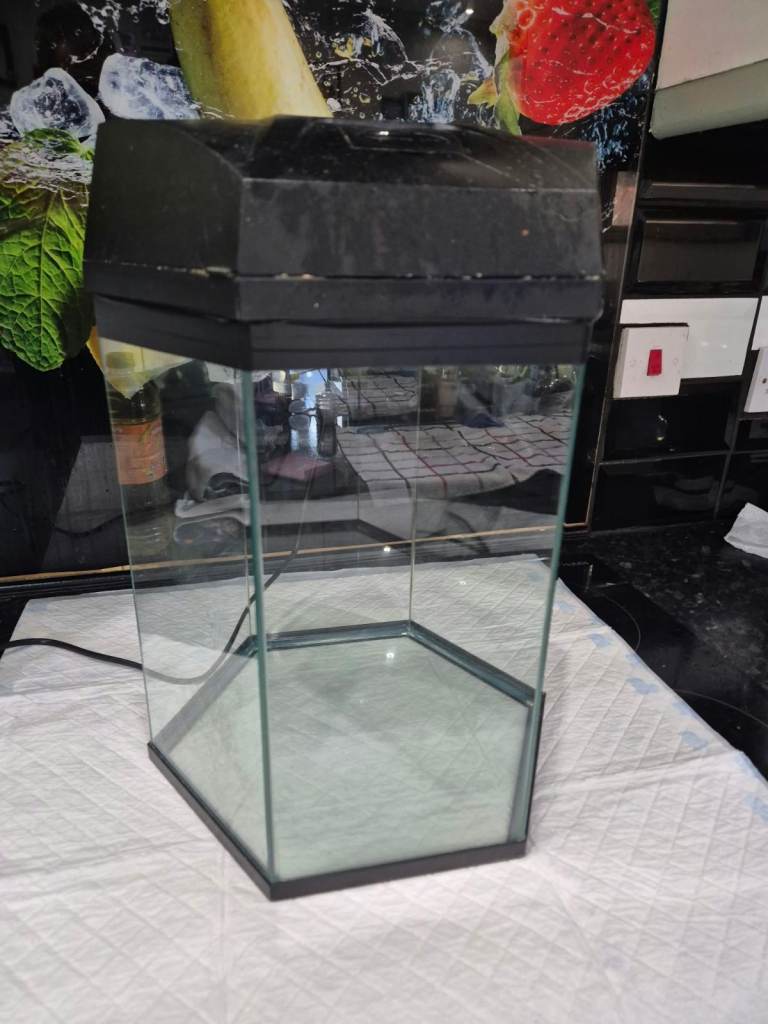 hexagon fish tank 