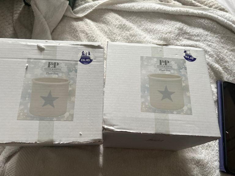 New White Ceramic Pots with Grey Star Design - Set of Two
