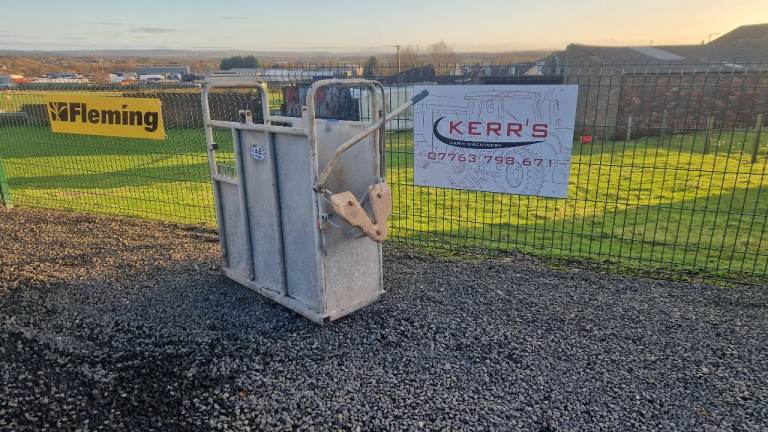 Iae calf dehorning vaccination crate crush 