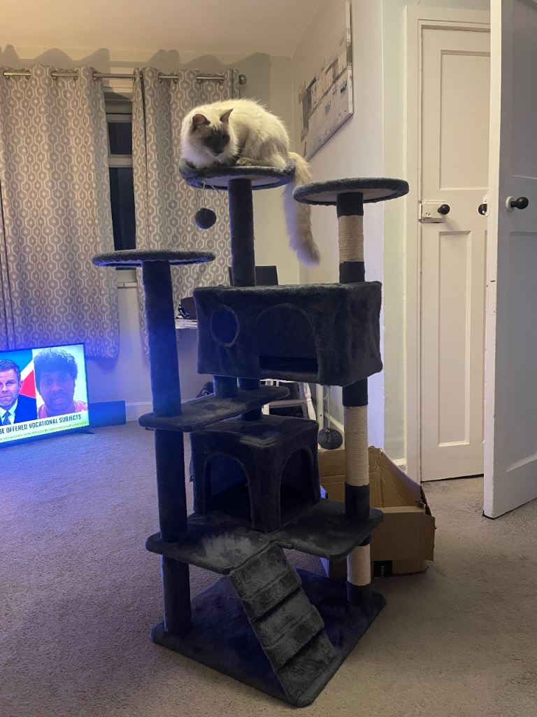 Cat tree
