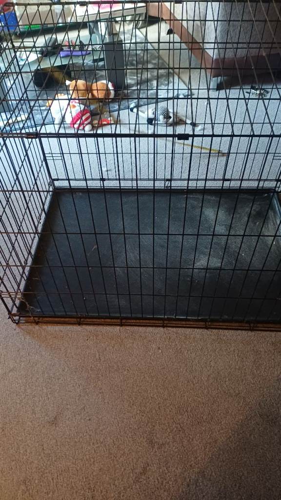 Dog cage