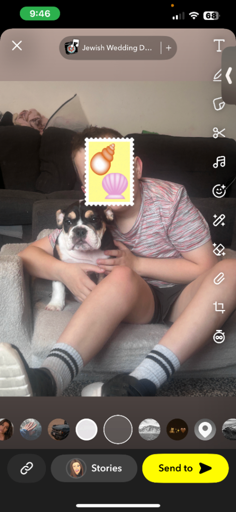 15 Week Old Female Old Tyme x Old English Bulldog Puppy