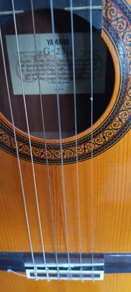 Yamaha g231