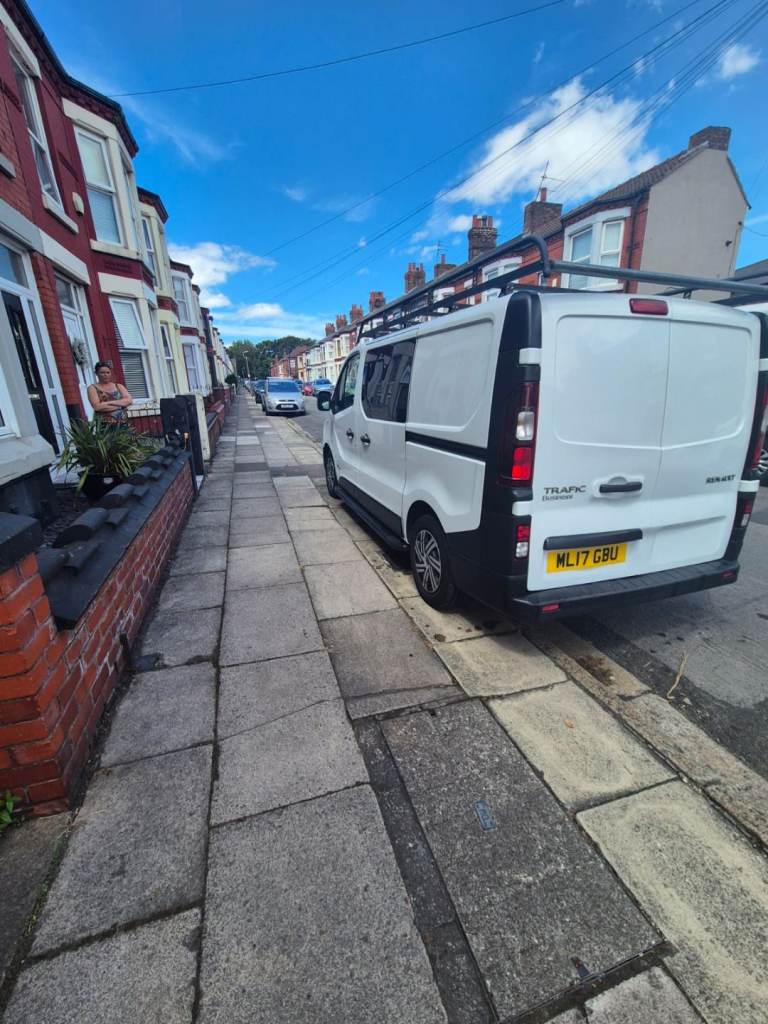 Renault, TRAFIC, Panel Van, 2017, Manual, 1598 (cc)