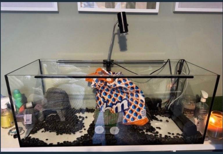 Aquarium/fish tank 160L