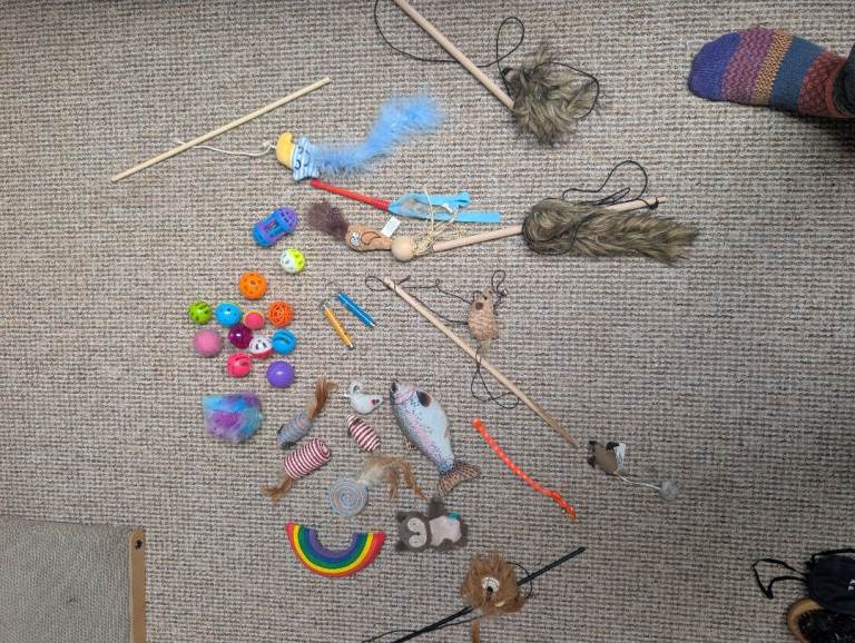 Cat toys and scratching post