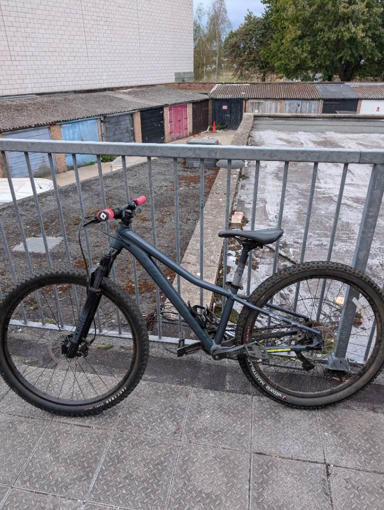 Modified air sus hydraulic brake Specialized mountain downhill bike