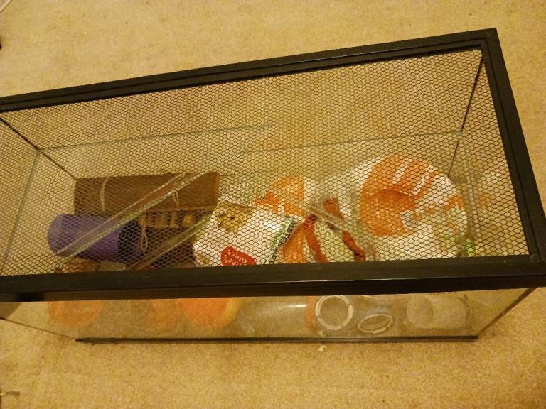 Hamster house with accessories 