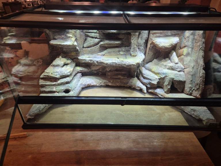 Exo Terra large wide viv plus Zoomed LED Hood, microclimate pulse thermostat, heat mat & accessories