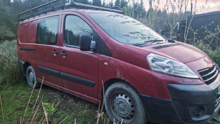 Peugeot 's and vivaro