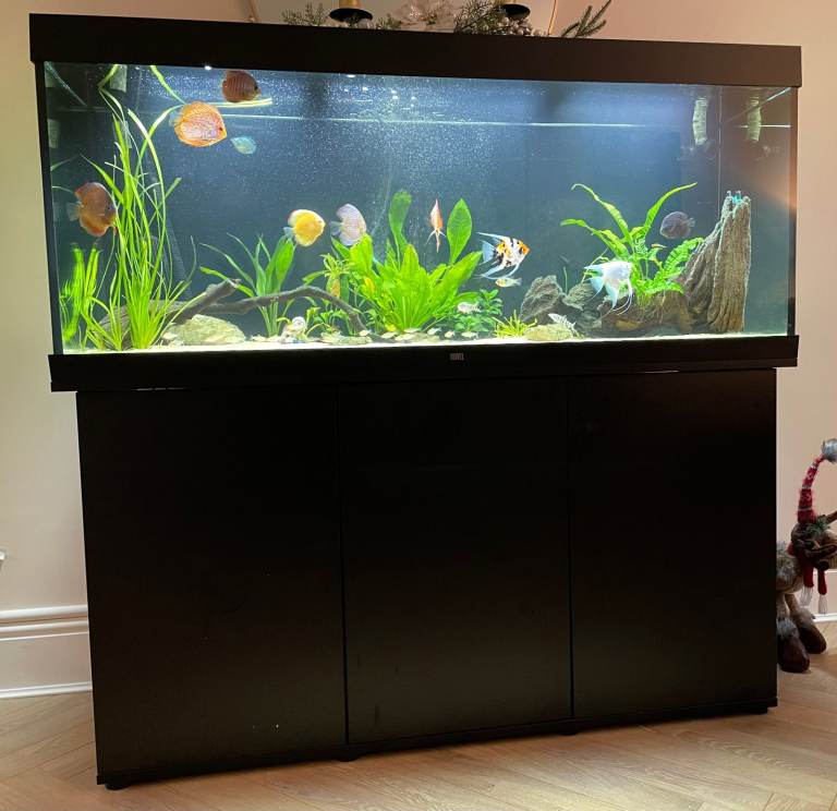 Juwel Rio 450 Aquarium & Cabinet, including full set up - ready to go (TOTAL RRP £2,055.95)