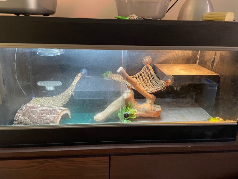 Reptile Vivarium full set up 