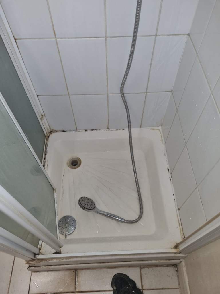 Plumber electrician handyman painter 