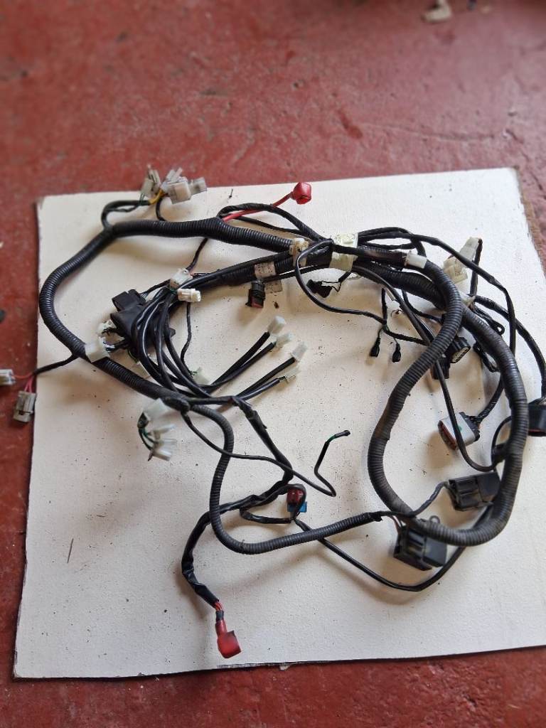 Lexmoto Chieftain 125 Wiring Loom