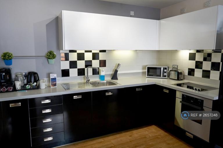 2 bedroom flat in Upper Marshall Street, Birmingham, B1 (2 bed) (#2657248)