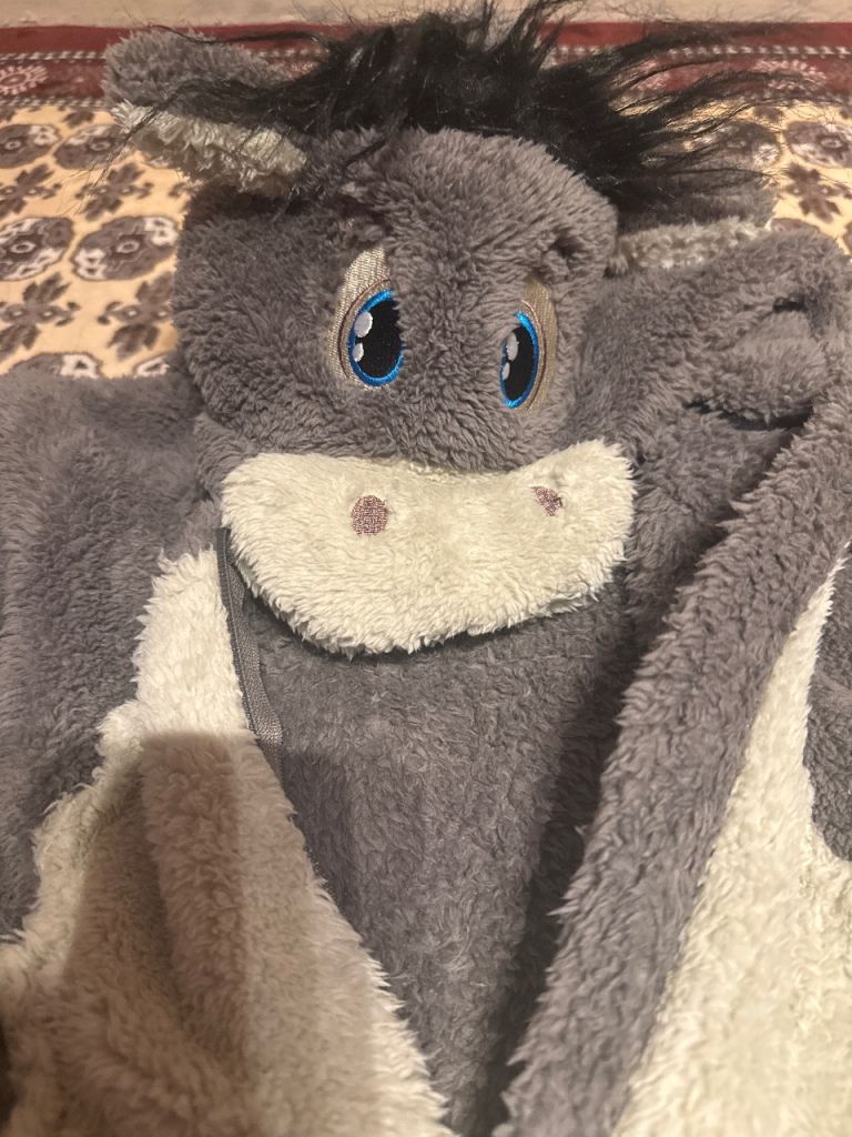 Kids Grey Donkey Onesie Fancy Dress Costume – Good Condition, £12.00 ...