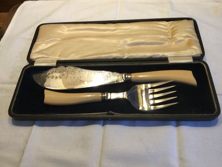 stylish whole Salmon servers
