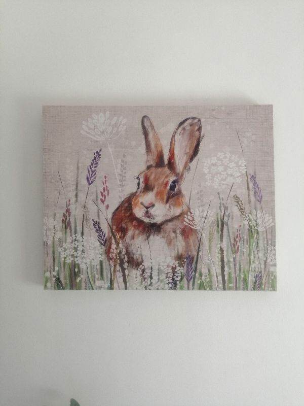 Canvas rabbit 