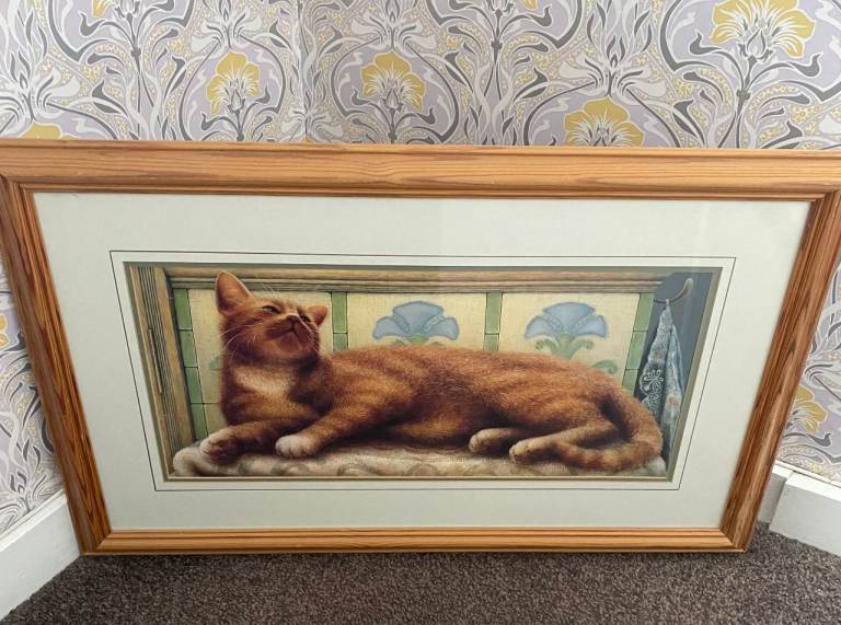 LOVELY GINGER CAT RELAXING IN THE SUN